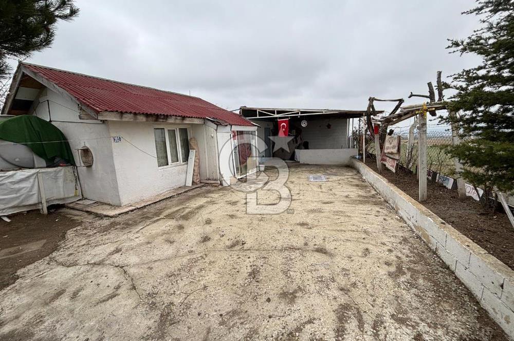 CB VİZYON TEVFİK BAŞTÜRK'TEN GÖLBAŞI YAYLABAĞ MH. SATILIK TARLA