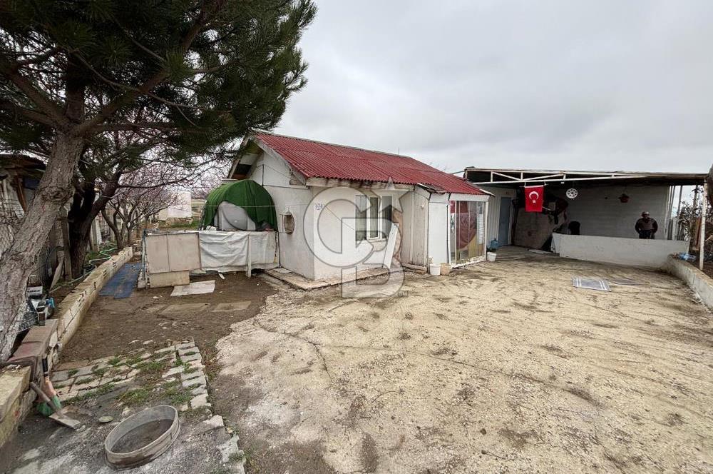 CB VİZYON TEVFİK BAŞTÜRK'TEN GÖLBAŞI YAYLABAĞ MH. SATILIK TARLA