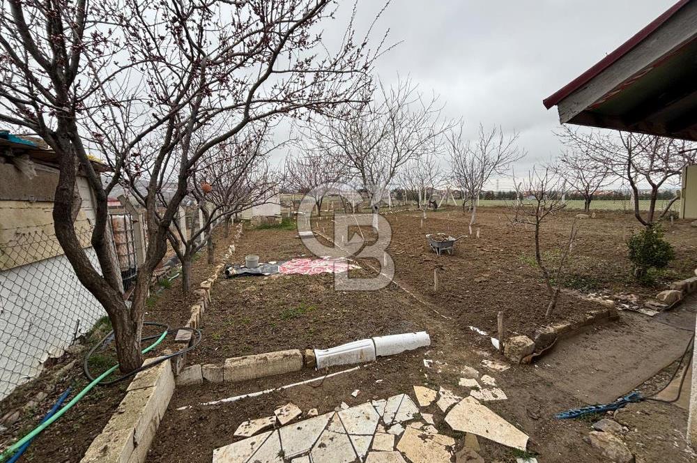 CB VİZYON TEVFİK BAŞTÜRK'TEN GÖLBAŞI YAYLABAĞ MH. SATILIK TARLA