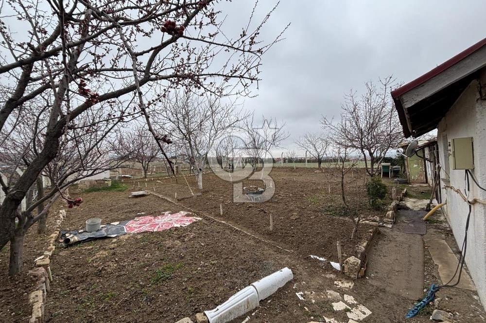 CB VİZYON TEVFİK BAŞTÜRK'TEN GÖLBAŞI YAYLABAĞ MH. SATILIK TARLA