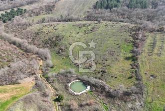 ÇANAKKALE BİGA HARMANLIK KÖYÜ 27.150 M2 SATILIK CEVİZLİK - 7 - 341755