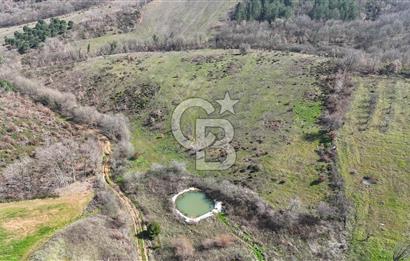 ÇANAKKALE BİGA HARMANLIK KÖYÜ 27.150 M2 SATILIK CEVİZLİK