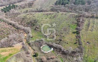 ÇANAKKALE BİGA HARMANLIK KÖYÜ 27.150 M2 SATILIK CEVİZLİK