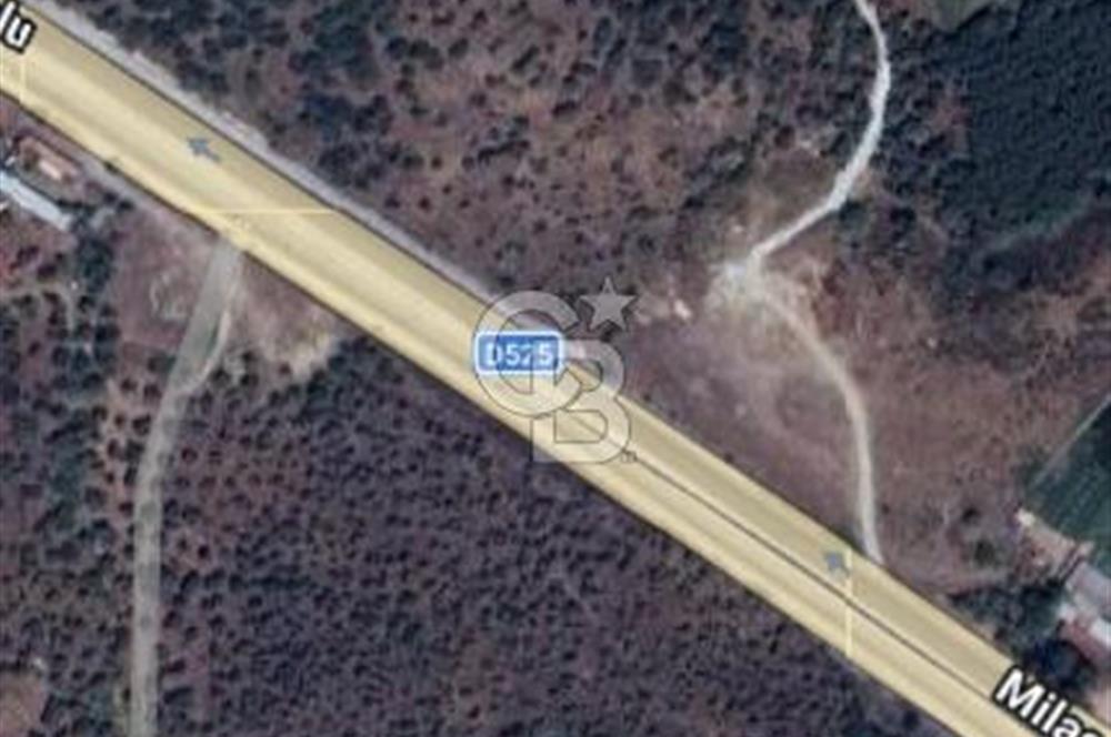 MİLAS SATILIK ZEYTİNLİK 255.000 TL BAFA MAH