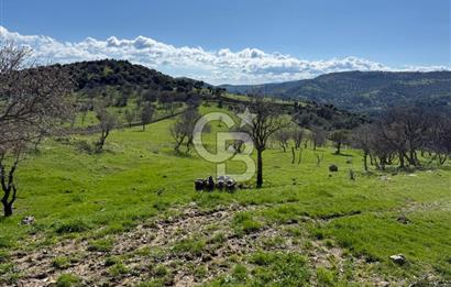 ÇANAKKALE AYVACIK KULFAL KÖYÜNDE SATILIK TARLA