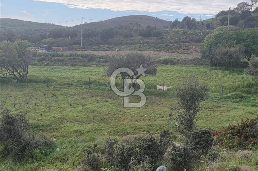 ÇANAKKALE BOZCAADA İMAR SINIRINA YAKIN KONUMDA SATILIK BAĞ