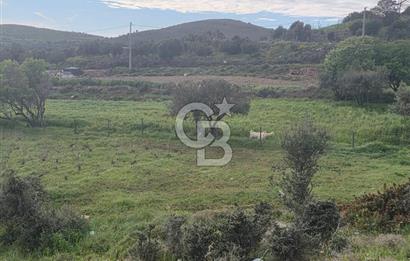 ÇANAKKALE BOZCAADA İMAR SINIRINA YAKIN KONUMDA SATILIK BAĞ