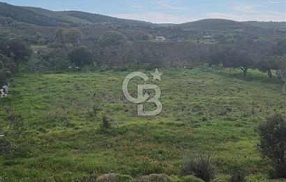 ÇANAKKALE BOZCAADA İMAR SINIRINA YAKIN KONUMDA SATILIK BAĞ