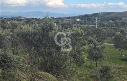 ÇANAKKALE BOZCAADA İMAR SINIRINA YAKIN KONUMDA SATILIK BAĞ