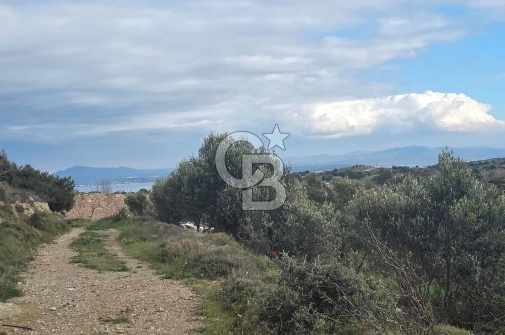 ÇANAKKALE BOZCAADA İMAR SINIRINA YAKIN KONUMDA SATILIK BAĞ
