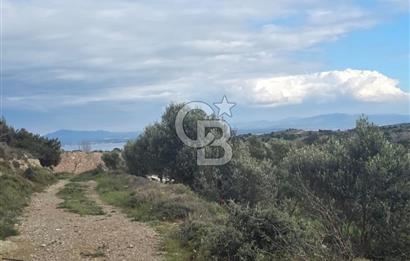 ÇANAKKALE BOZCAADA İMAR SINIRINA YAKIN KONUMDA SATILIK BAĞ