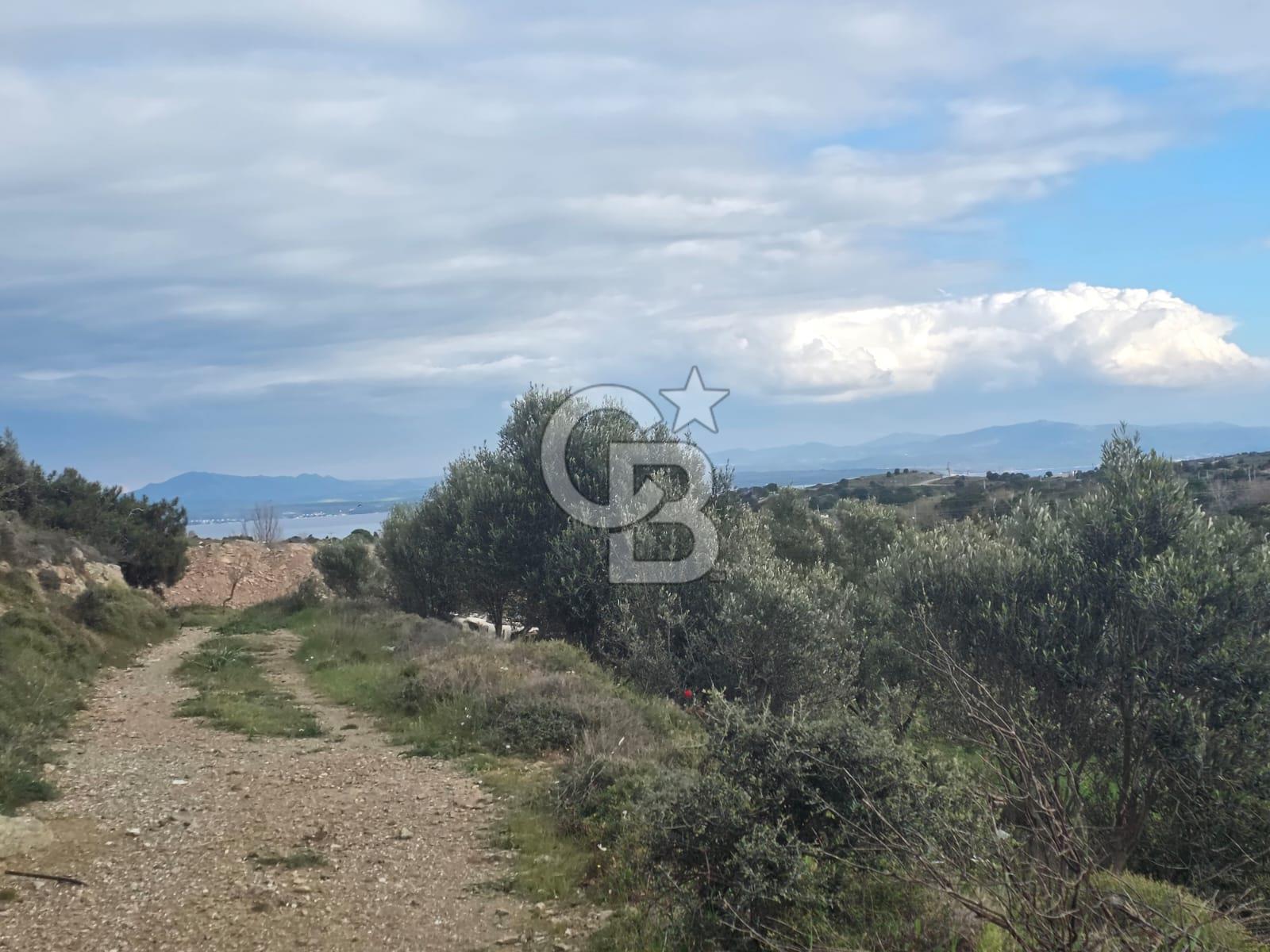 ÇANAKKALE BOZCAADA İMAR SINIRINA YAKIN KONUMDA SATILIK BAĞ