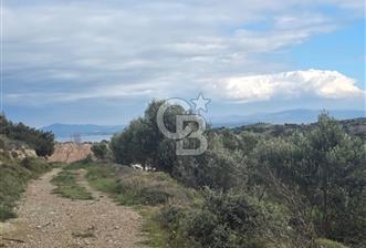 ÇANAKKALE BOZCAADA İMAR SINIRINA YAKIN KONUMDA SATILIK BAĞ - 1 - 341734