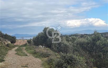 ÇANAKKALE BOZCAADA İMAR SINIRINA YAKIN KONUMDA SATILIK BAĞ