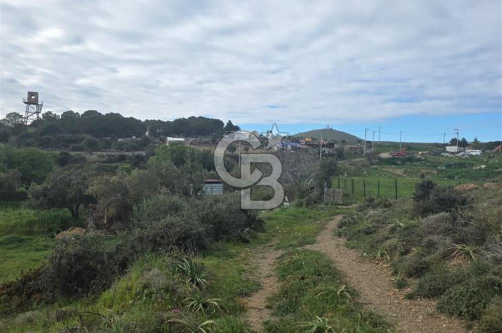ÇANAKKALE BOZCAADA İMAR SINIRINA YAKIN KONUMDA SATILIK BAĞ