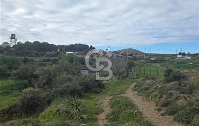 ÇANAKKALE BOZCAADA İMAR SINIRINA YAKIN KONUMDA SATILIK BAĞ