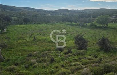 ÇANAKKALE BOZCAADA İMAR SINIRINA YAKIN KONUMDA SATILIK BAĞ