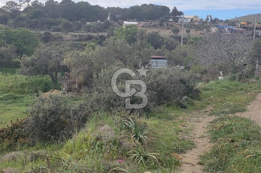 ÇANAKKALE BOZCAADA İMAR SINIRINA YAKIN KONUMDA SATILIK BAĞ