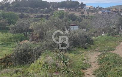 ÇANAKKALE BOZCAADA İMAR SINIRINA YAKIN KONUMDA SATILIK BAĞ