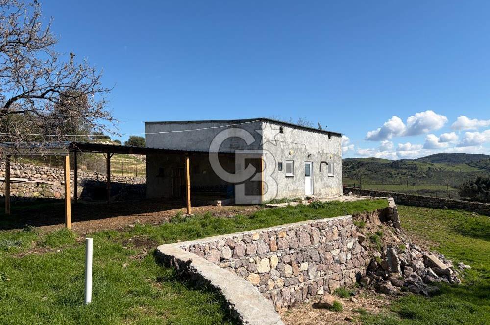 ÇANAKKALE AYVACIK KULFAL KÖYÜNDE SATILIK TARLA