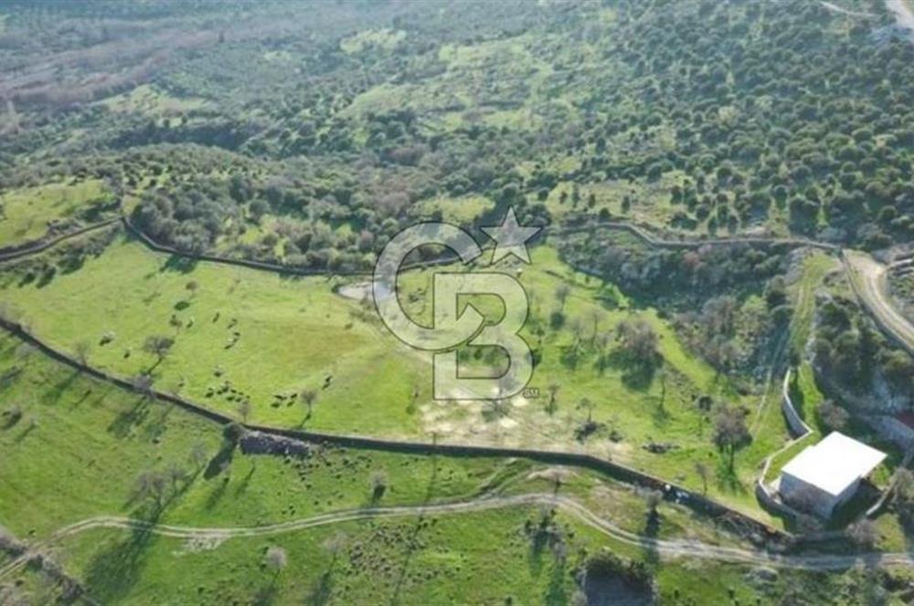 ÇANAKKALE AYVACIK KULFAL KÖYÜNDE SATILIK TARLA