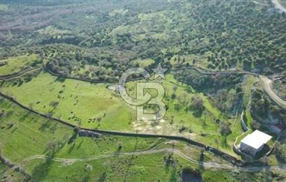 ÇANAKKALE AYVACIK KULFAL KÖYÜNDE SATILIK TARLA