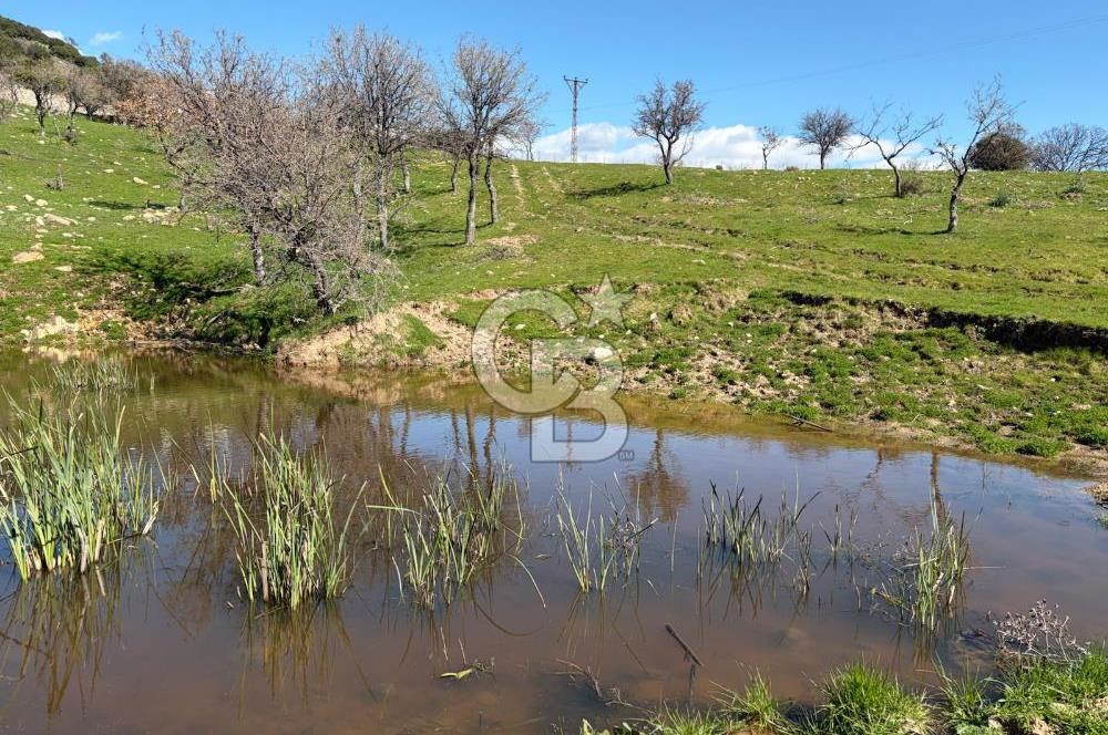 ÇANAKKALE AYVACIK KULFAL KÖYÜNDE SATILIK TARLA