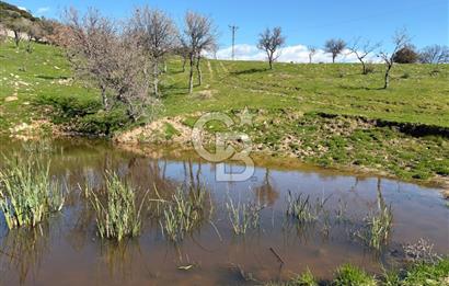 ÇANAKKALE AYVACIK KULFAL KÖYÜNDE SATILIK TARLA