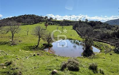 ÇANAKKALE AYVACIK KULFAL KÖYÜNDE SATILIK TARLA