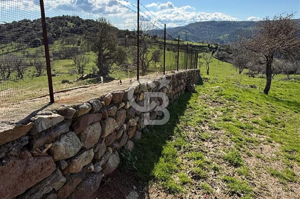 ÇANAKKALE AYVACIK KULFAL KÖYÜNDE SATILIK TARLA