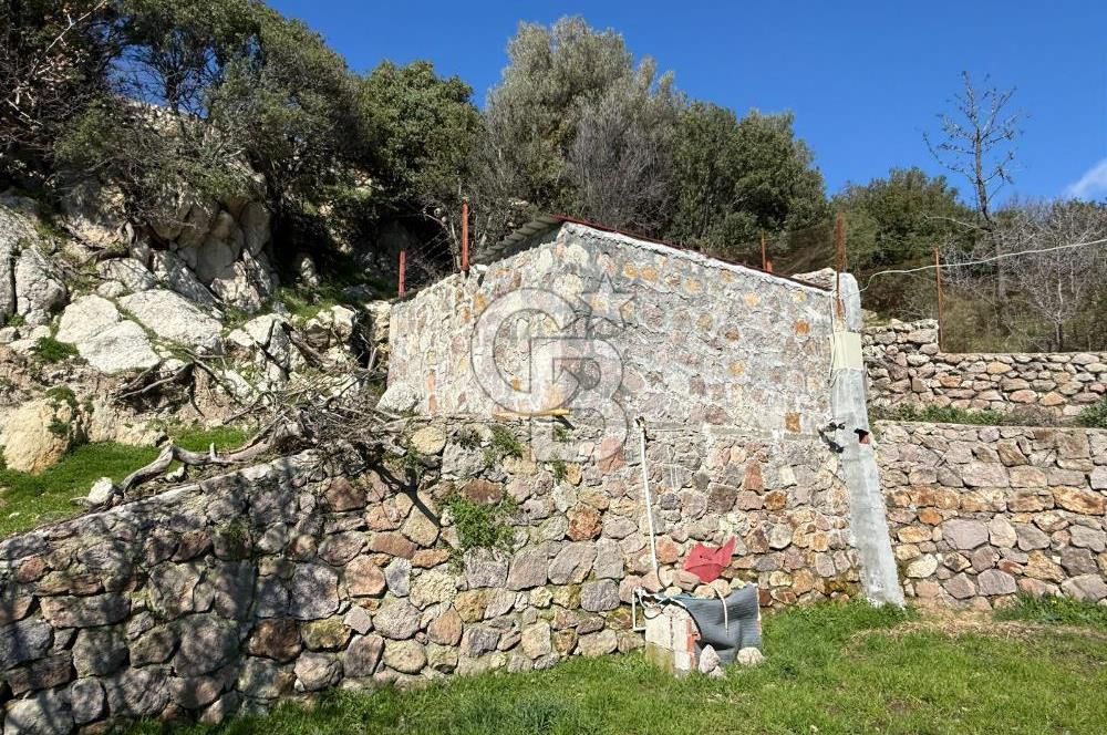 ÇANAKKALE AYVACIK KULFAL KÖYÜNDE SATILIK TARLA