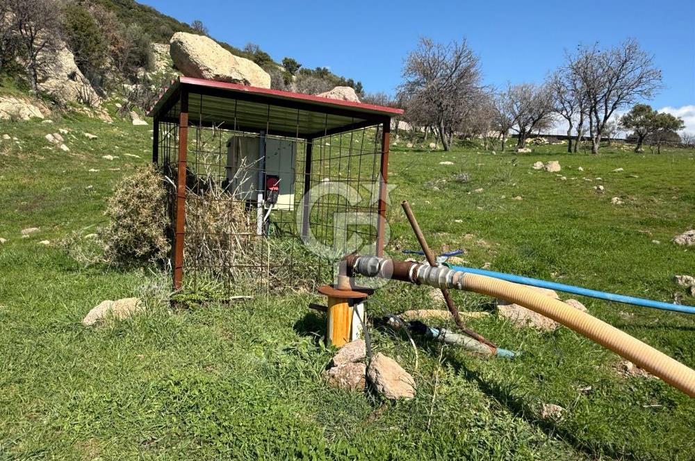 ÇANAKKALE AYVACIK KULFAL KÖYÜNDE SATILIK TARLA
