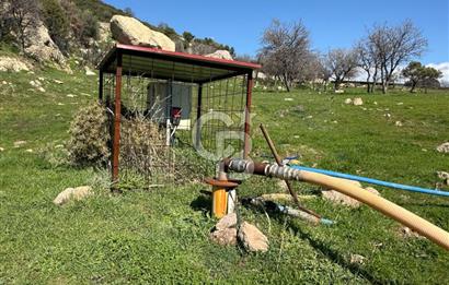 ÇANAKKALE AYVACIK KULFAL KÖYÜNDE SATILIK TARLA