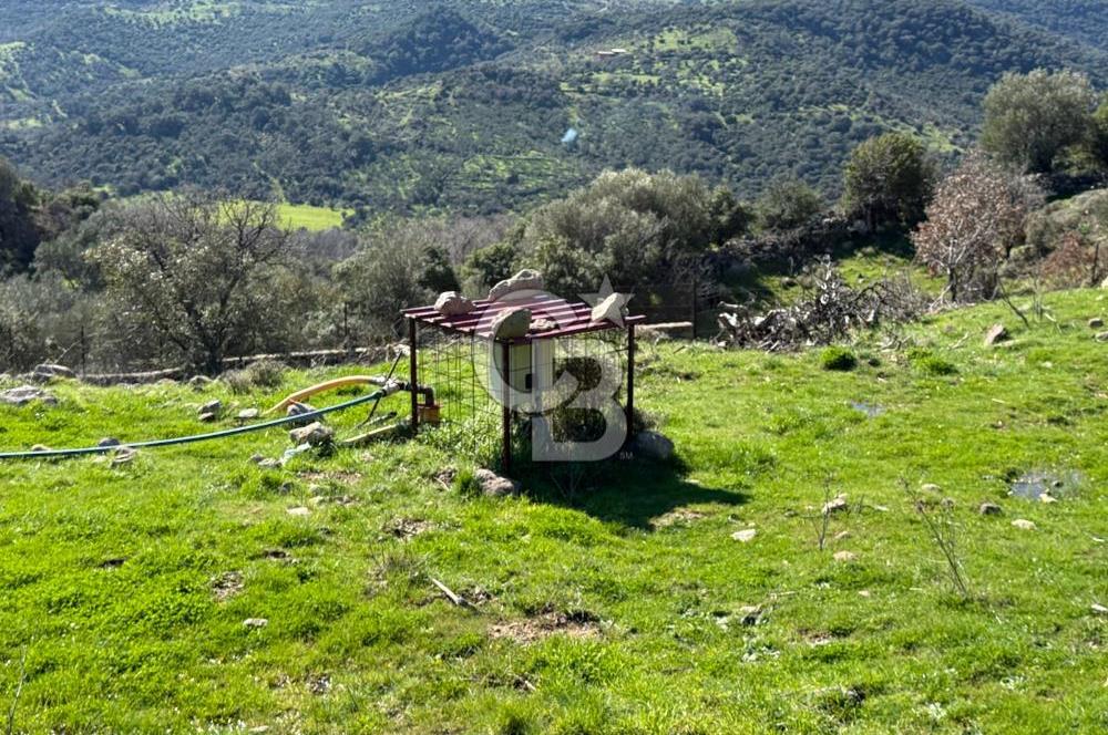 ÇANAKKALE AYVACIK KULFAL KÖYÜNDE SATILIK TARLA