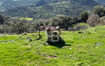 ÇANAKKALE AYVACIK KULFAL KÖYÜNDE SATILIK TARLA