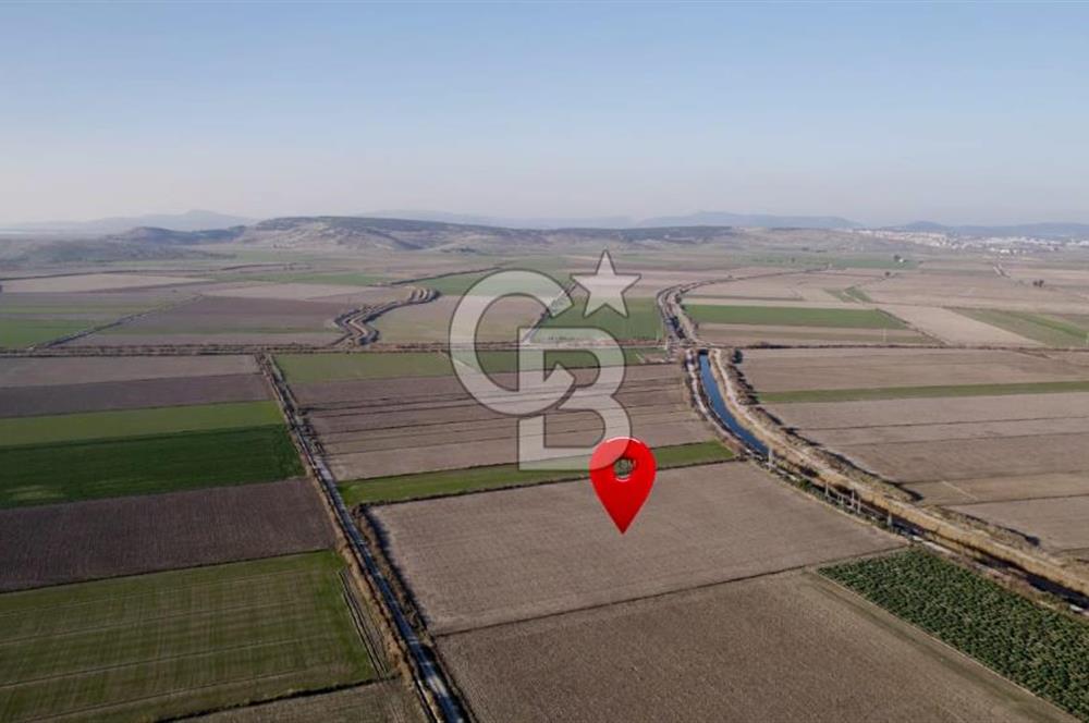 MENEMEN TUZÇULLU'DA 21.362 M² YOLA CEPHELİ SATILIK TARLA