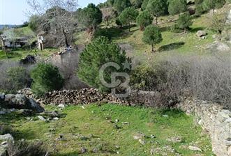 AYDIN KOÇARLIDA KÖYİÇİ KİRALIK ARSA - 3 - 341839