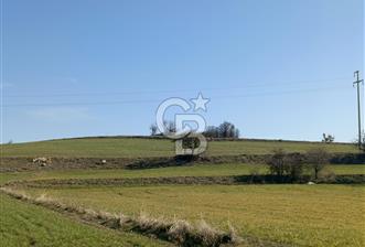 KÜTAHYA EMET 39.600 M2 ARAZİ - 9 - 341845