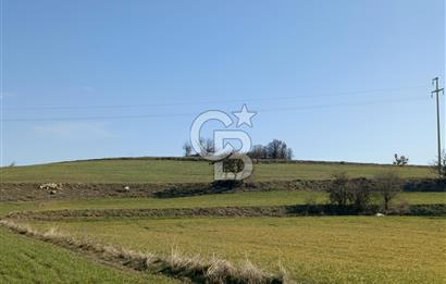 KÜTAHYA EMET 39.600 M2 ARAZİ