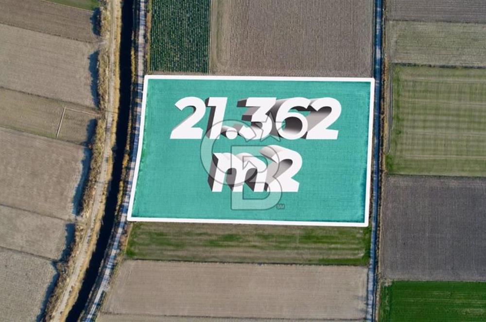 MENEMEN TUZÇULLU'DA 21.362 M² YOLA CEPHELİ SATILIK TARLA