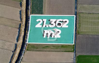 MENEMEN TUZÇULLU'DA 21.362 M² YOLA CEPHELİ SATILIK TARLA