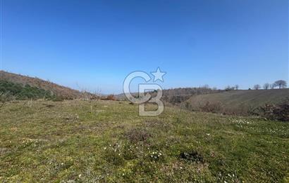 ÇANAKKALE BİGA HARMANLIK KÖYÜ 27.150 M2 SATILIK CEVİZLİK