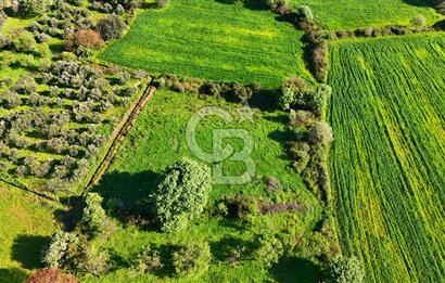 Datça Burgaz Arkası'nda 2.200 m² Bademlik