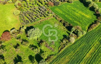 Datça Burgaz Arkası'nda 2.200 m² Bademlik