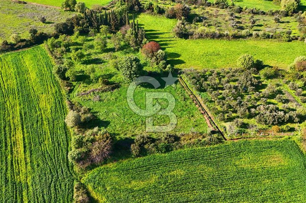 Datça Burgaz Arkası'nda 2.200 m² Bademlik