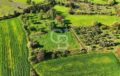 Datça Burgaz Arkası'nda 2.200 m² Bademlik