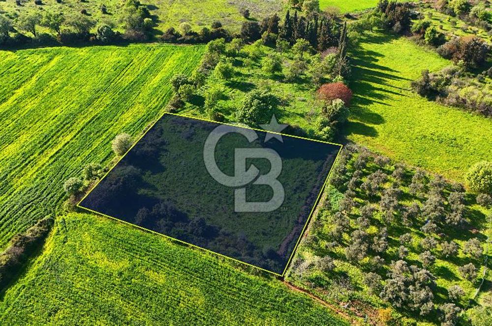 Datça Burgaz Arkası'nda 2.200 m² Bademlik