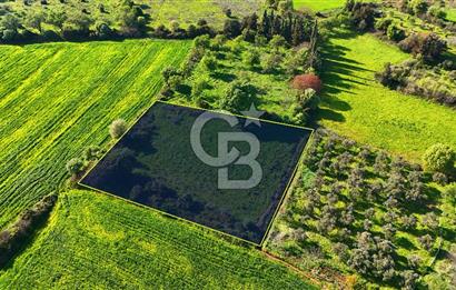 Datça Burgaz Arkası'nda 2.200 m² Bademlik