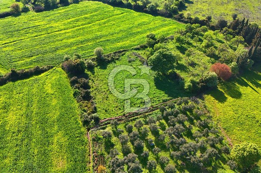 Datça Burgaz Arkası'nda 2.200 m² Bademlik