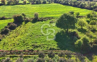 Datça Burgaz Arkası'nda 2.200 m² Bademlik